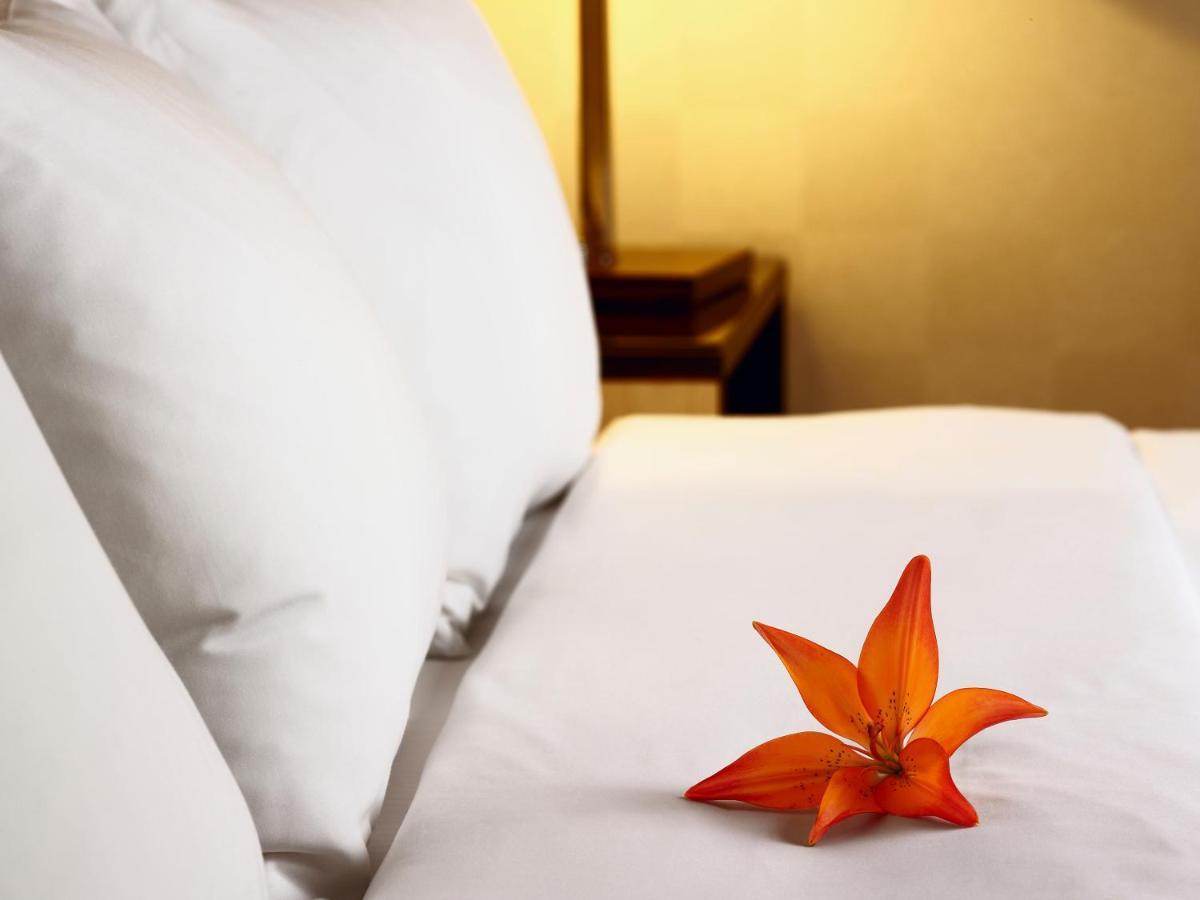 Hotel Acadia Квебек Екстериор снимка