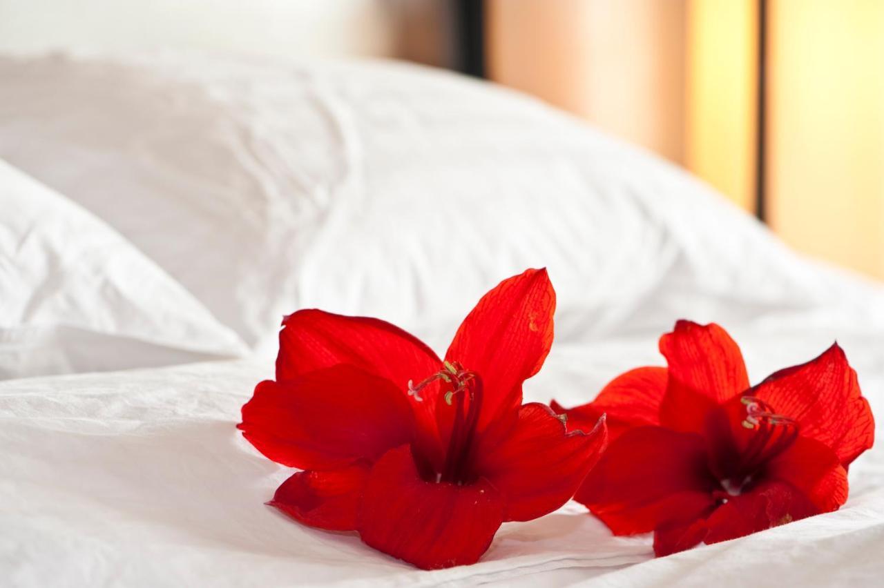 Hotel Acadia Квебек Екстериор снимка